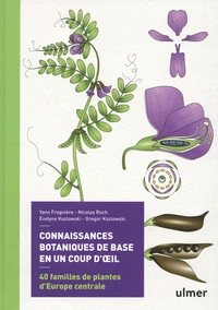 Connaissances botaniques en un coup d'oeil