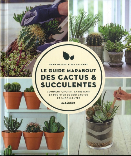 Le guide Marabout des cactus et succulentes