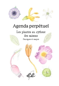 Agenda perpétuel