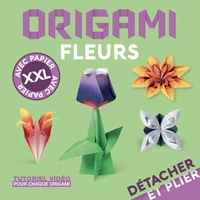 Détacher et Plier XXL ! - Origami fleurs