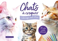 Chats à croquer