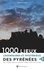 1000 lieux légendaires et mystérieux des Pyrénées. Volume 1