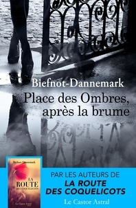 Francis Dannemark - Place des ombres, après la brume.