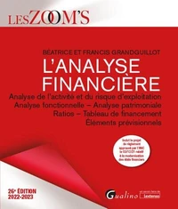 L'analyse financière