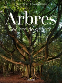 Arbres, secrets de géants