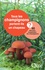 Tous les champignons portent-ils un chapeau ?. 90 clés pour comprendre les champignons