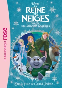 Magie des aurores boréales