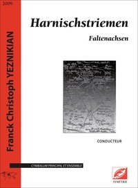 Franck christoph Yeznikian - Harnischstriemen - Faltenachsen.