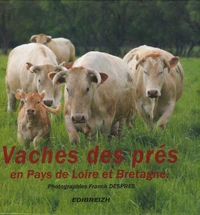 Vaches des prés en Pays de Loire et Bretagne