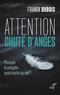 Attention chute d'anges