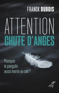 Attention chute d'anges