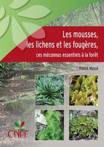 Les mousses, les lichens et les fougères, ces méconnus essentiels à la forêt