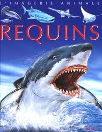Les requins