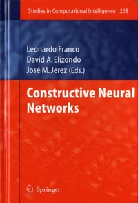 Constructive Neural Networks