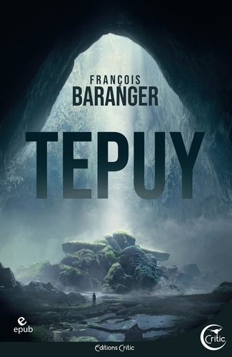 Tepuy