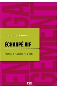 François Brottes - Echarpé vif.