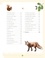 La vie de la Forêt. 70 espèces à découvrir !