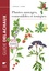 Plantes sauvages, comestibles et toxiques