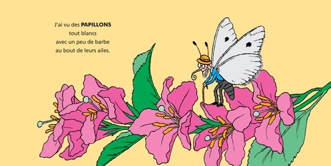 Papillons et mamillons