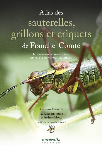 François Dehondt et Frédéric Mora - Atlas des sauterelles, grillons et criquets de Franche-Comté - Illustrations commentées du peuple chantant de l'herbe.