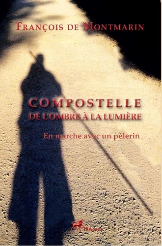 Francois Demontmarin - Compostelle, de l'Ombre à la Lumière - En marche avec un pèlerin.