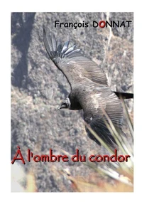 A l'ombre du condor