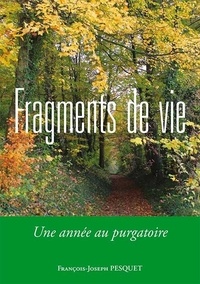 François-joseph Pesquet - Fragments de vie - Une année au purgatoire.