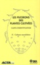 François Leclant - Les pucerons des plantes cultivées : clefs d'identification - Tome 2, Cultures maraîchères.