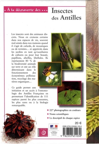 Insectes des Antilles françaises