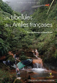 Les libellules des Antilles françaises