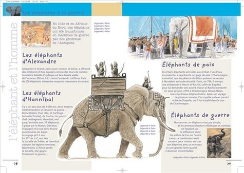 L'éléphant - Occasion
