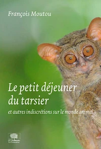 Le petit-déjeuner du tarsier
