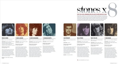 Les Rolling Stones. Photobiographie 1962-2012 - Occasion