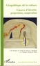 François Roche et Jean-Marc Delaunay - Géopolitique de la culture - Espaces d'identité, projections, coopération.