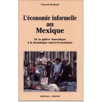 L'Economie Informelle Au Mexique