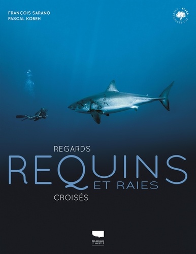 Requins et raies. Regards croisés