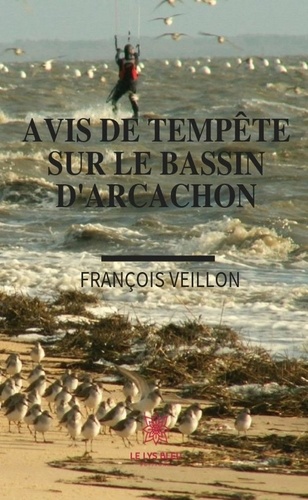 François Veillon - Avis de tempête sur le bassin d'Arcachon.