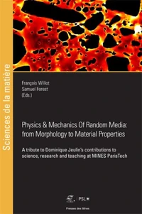 Physics & Mechanics of Random Media: From Morphology to Material Properties
