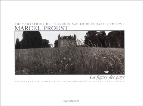 François-Xavier Bouchart - Marcel Proust. La Figure Des Pays.