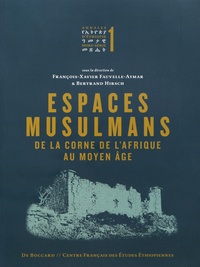 François-Xavier Fauvelle-Aymar et Bertrand Hirsch - Espaces musulmans de la Corne de l'Afrique au Moyen Age - Etudes d'archéologie et d'histoire.