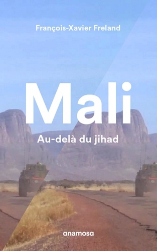 Mali. Au-delà du jihad