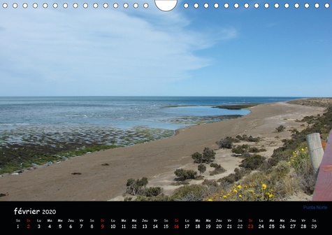 CALVENDO Places  PENINSULE VALDES - ARGENTINE (Calendrier mural 2020 DIN A4 horizontal). Péninsule Valdes, réserve naturelle d'Argentine (Calendrier mensuel, 14 Pages )