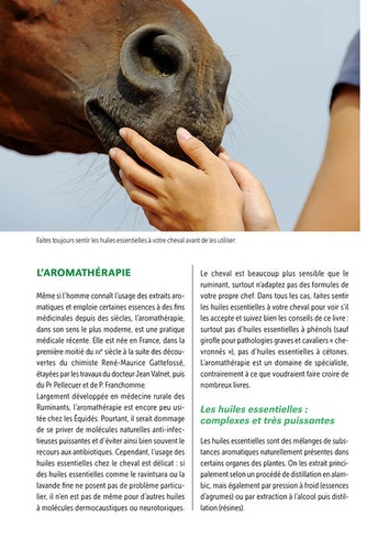 La bible des soins naturels pour le cheval, le poney et l'âne