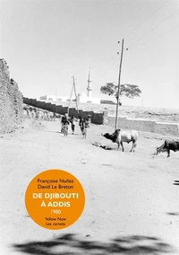 De Djibouti à Addis