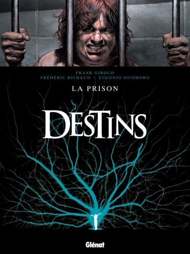 Frank Giroud et Frédéric Richaud - Destins Tome 12 : La prison.