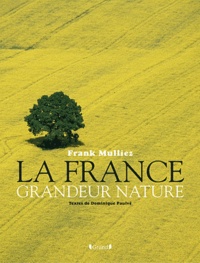 Frank Mulliez - La France, grandeur nature.