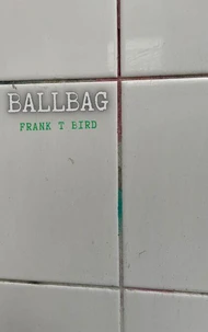 Ballbag
