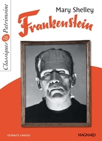 Téléchargez des ebooks complets gratuitement Frankenstein - Classiques et Patrimoine 9782210770034 DJVU CHM