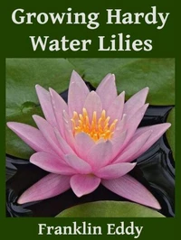 Growing Hardy Water Lilies