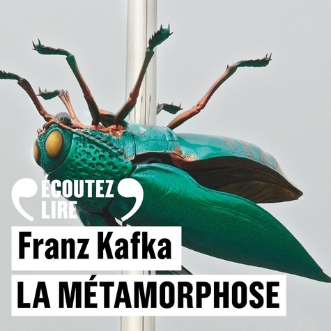 La métamorphose